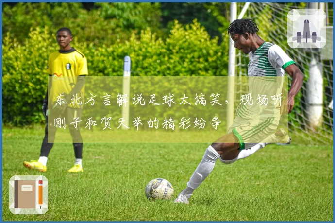 东北方言解说足球太搞笑，现场听刚子和贺天举的精彩纷争